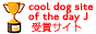 Cooldogsite